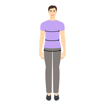 Men to do bust, waist, hips measurement body, arrows fashion Illustration for size chart. Flat male character front 8 head size boy in purple shirt. Human gentlemen infographic template Generative AI