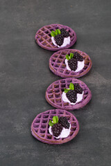 Small Purple round waffles with blackberries. Waffles with the addition of blackberry puree. Dark gray background