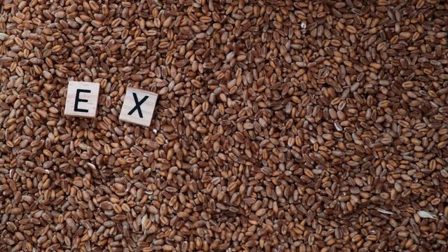 Export grain concept. Letters forming the word - export are placed on the grain.