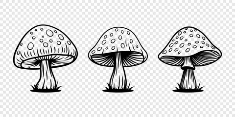 Vector Hand Drawn Mushroom With Outline Icon Set Isolated. Amanita Muscaria, Fly Agaric Scetch, Doodle, Linear Sign Collection. Magic Mushroom Symbol, Design Template. Vector illustration