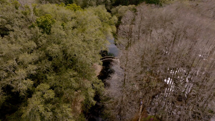 person walking in the woods