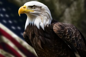 Foto op Plexiglas Bald eagle, Haliaeetus leucocephalus. The official national symbol of the United States. AI generated, human enhanced © top images
