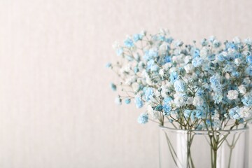 Beautiful gypsophila flowers in vase on beige background, closeup. Space for text