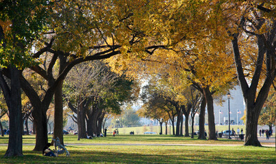 Autumn Trees on the Mall, Washington, DC