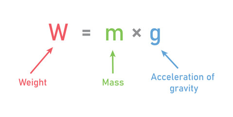 Weight formula. Mass, weight and acceleration of gravity equation. Vector illustration isolated on white background.