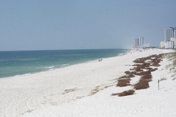 Foley, Alabama, sites and Nature, Pier, Beach, Birds