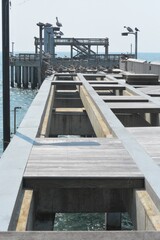 Foley, Alabama, sites and Nature, Pier, Beach, Birds