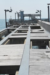 Foley, Alabama, sites and Nature, Pier, Beach, Birds