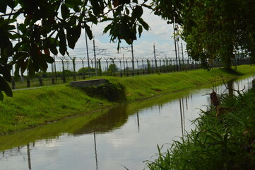 Large ditches that are flooded with water, canals for draining sewage or rainwater.