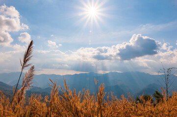  Piengsor Nan, Thailand