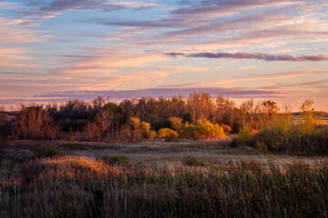 Sunset over the Forest