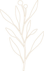Obraz premium floral leaves outline, floral leaf, design, nature, summer, illustration, vector, spring, foliage