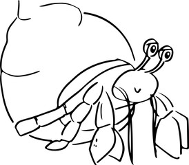 Hermit crab Sketch
