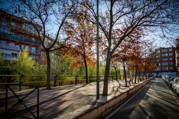 paisaje de primavera con el campo y flores en la España central en primavera