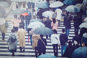 雨の日の横断歩道