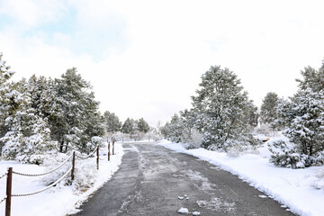 Fototapeta premium Snowy Road on Grand canyon