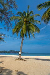 Patong Beach Phuket Thailand nice white sandy beach clear blue and turquoise waters and lovely blue skies with Palms tree