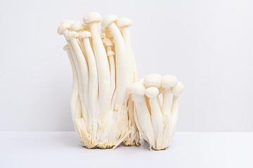 White beech or shimeji edible mushrooms on white.