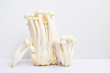 White beech or shimeji edible mushrooms on white.