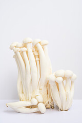 White beech or shimeji edible mushrooms on white.