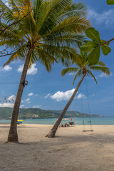 Patong Beach Phuket Thailand nice white sandy beach clear blue and turquoise waters and lovely blue skies with Palms tree