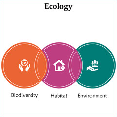 Three Aspects of Ecology - Biodiversity, Habitat, Environment. Infographic template with icons
