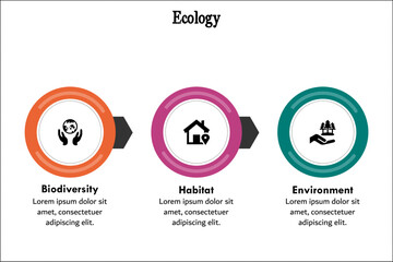 Three Aspects of Ecology - Biodiversity, Habitat, Environment. Infographic template with icons