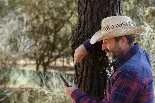 man with beard and hat looking at his cell phone leaning against a pine tree in the forest