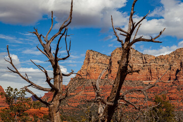 Bell Rock Trail at Sedona