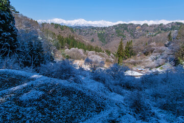 棚田の雪景色