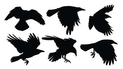 A set of silhouettes ravens in flight.
