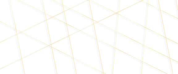 Luxury banner presentation gold line background, abstract white gray colors with gold lines pattern texture business background.