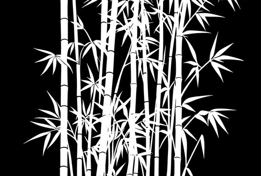 Bamboo With Black Background Set Vector © Tri Endah Wanito
