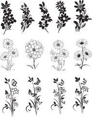 WildFlower Set Vector Black and White