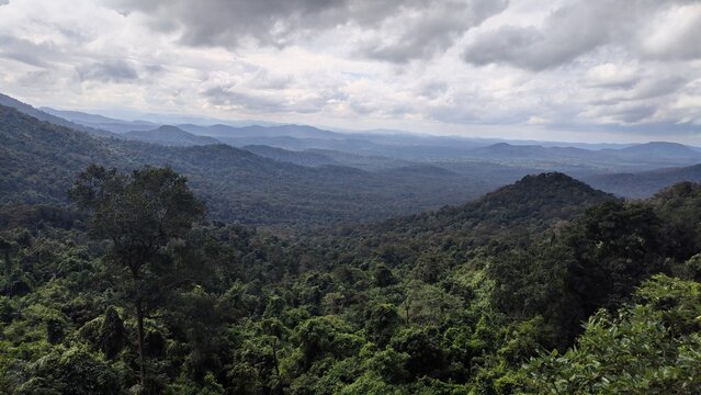 clouds over the hilly forest.