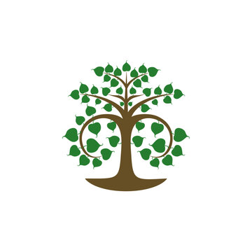 Bodhi Tree, Tree of Life, Mahabodhi, Siddhartha Gautama, Bodhi Leafs Logo Template Design Vector 