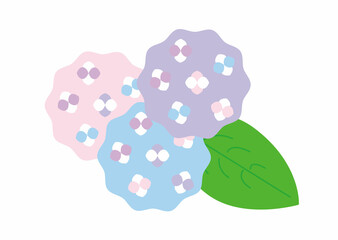 紫陽花のアイコン