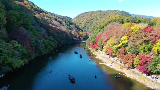 Aerial view 4k by drone of Katsura river at autumn and boats. Arashiyama, Kyoto, Japan.