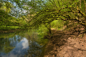 Fototapeta premium Source Bleue im Val de Cusance in Frankreich