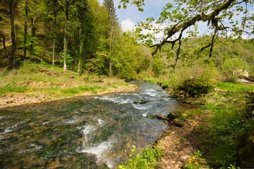 Obraz premium Die Cusance im Doubs in Frankreich