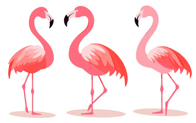 set vector collection illustration of tropical pink flamingo isolated on white background Generative AI