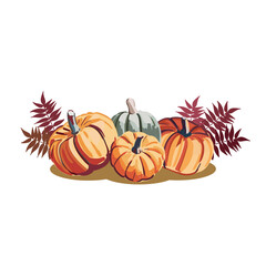 Set of autumn leaves and pumpkins in flat style. Vector.