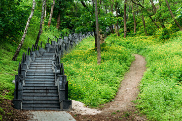 two paths of nature, stone stairs, descent in the forest, a trodden path, green trees, a park, old trees, concrete steps