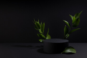 Fototapeta na wymiar Black abstract stage with one cylinder podium mockup, decor of fresh green tropical leaves in hard light, shadows, template for presentation cosmetic products, goods, design in elegant luxury style.