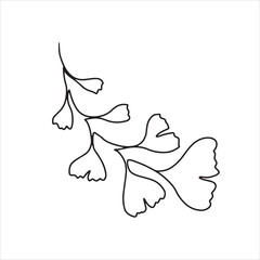 Hand drawn one line ginkgo biloba branch. Floral element for invitations, posters, greeting cards.