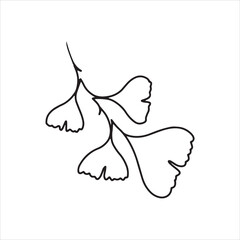 Hand drawn one line ginkgo biloba branch. Floral element for invitations, posters, greeting cards.