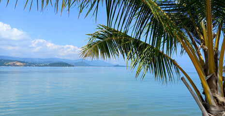 Tropical beach with palm trees and blue sky in Thailand.