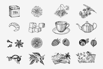 Herbal Tea bag brewing cooking directions. Teapot, cup, sugar, plants, landscape, raspberries, croissant, lemon, chamomile. The woman is harvesting. Ingredients for shop frame. Engraved Generative AI - obrazy, fototapety, plakaty