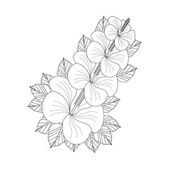 Hibiscus Flower Drawing Coloring Page With Doodle Art Line Art Vector