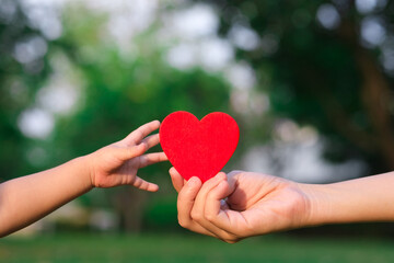 Fototapeta na wymiar people, age, family, love and health care concept - close up of senior woman and baby hands holding red heart over green natural background. new generation save the world and earth day concept.